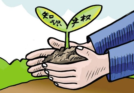 如何提高与知识产权代理机构的合作效率 - 知识产权代理 - 绿狮通国际知识产权代理北京有限公司